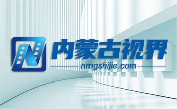 人保财险内蒙古阿拉善阿右旗支公司开展金...